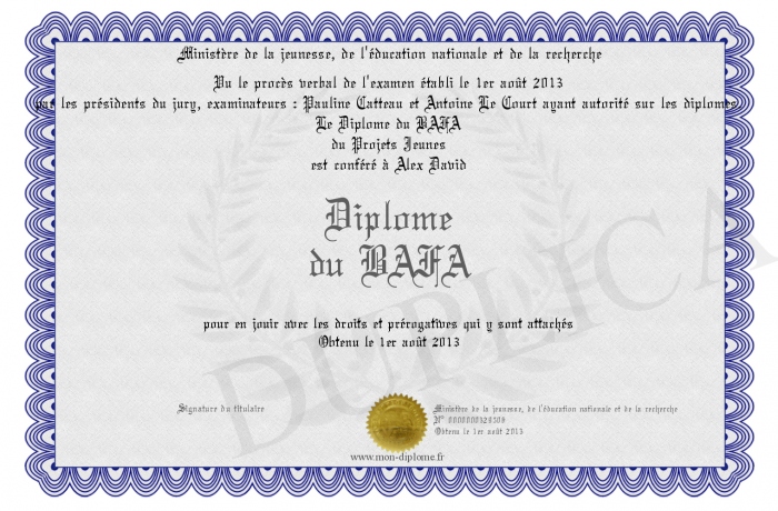 diplome bafa